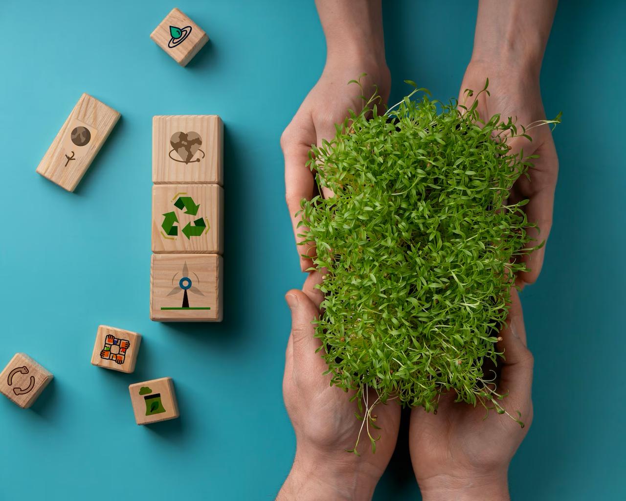 Sustainability Goals